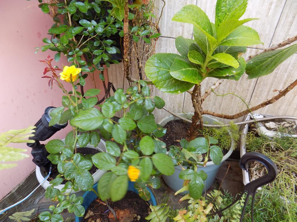 Albergue Rio Vermelho Salwador Zewnętrze zdjęcie