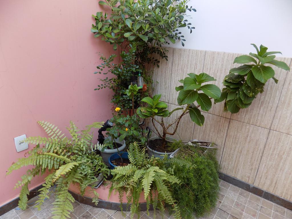 Albergue Rio Vermelho Salwador Zewnętrze zdjęcie